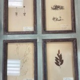 Antique botanicals