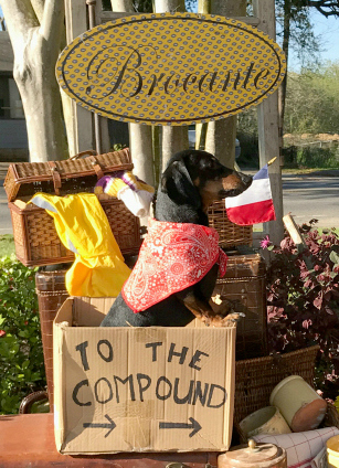 Brocante French Antiques